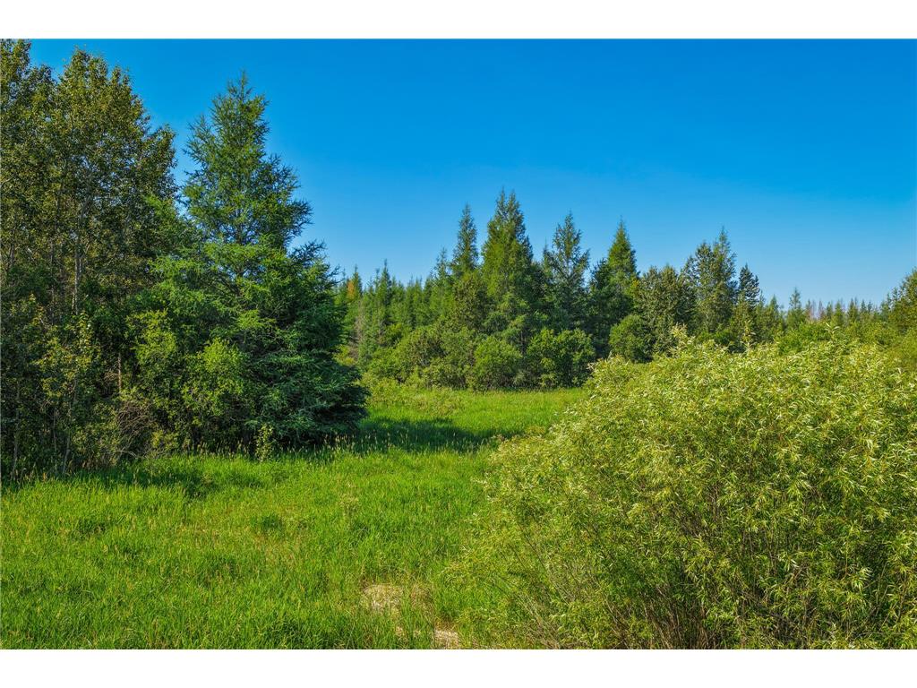 TBD Three Mile Road NE Hornet Twp MN 56630 7038556 image11
