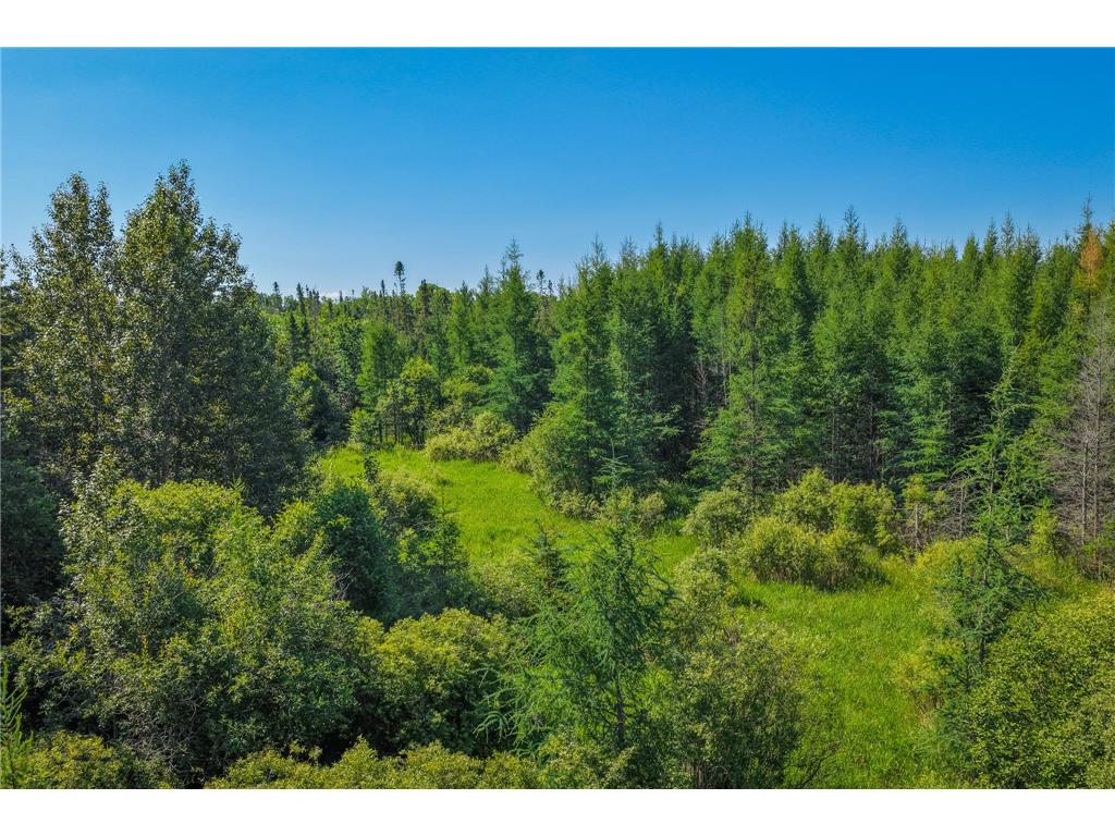 TBD Three Mile Road NE Hornet Twp MN 56630 7038556 image12