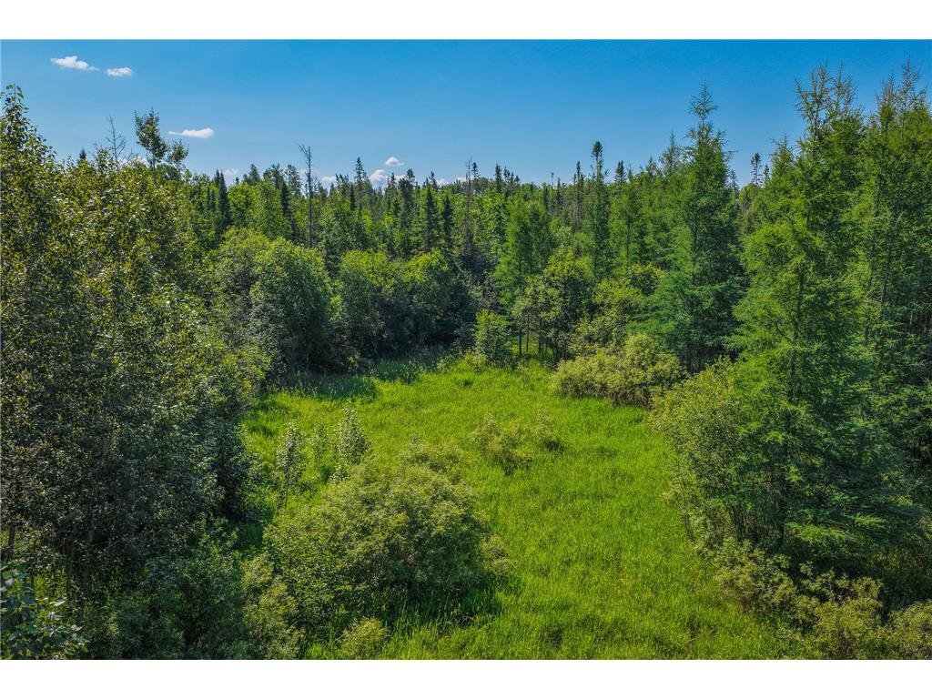 TBD Three Mile Road NE Hornet Twp MN 56630 7038556 image13