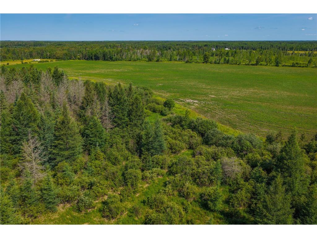 TBD Three Mile Road NE Hornet Twp MN 56630 7038556 image14