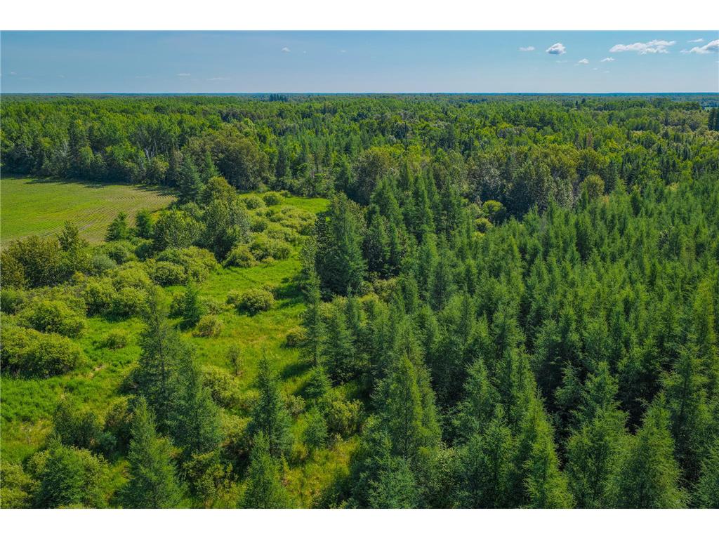 TBD Three Mile Road NE Hornet Twp MN 56630 7038556 image15