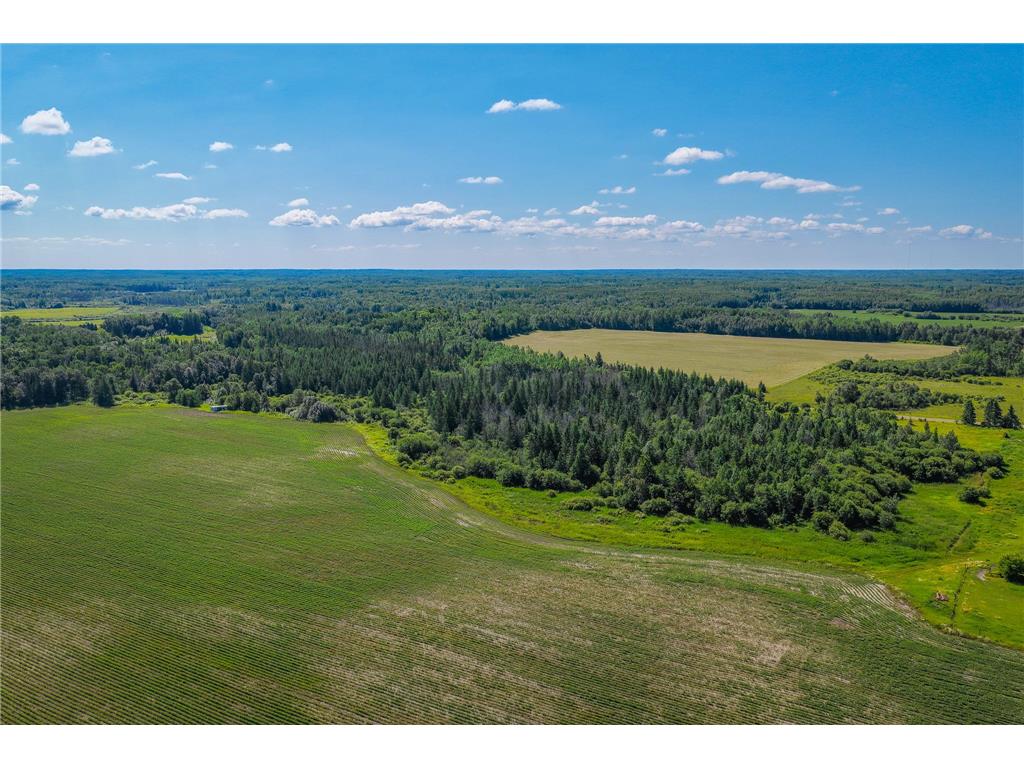 TBD Three Mile Road NE Hornet Twp MN 56630 7038556 image16