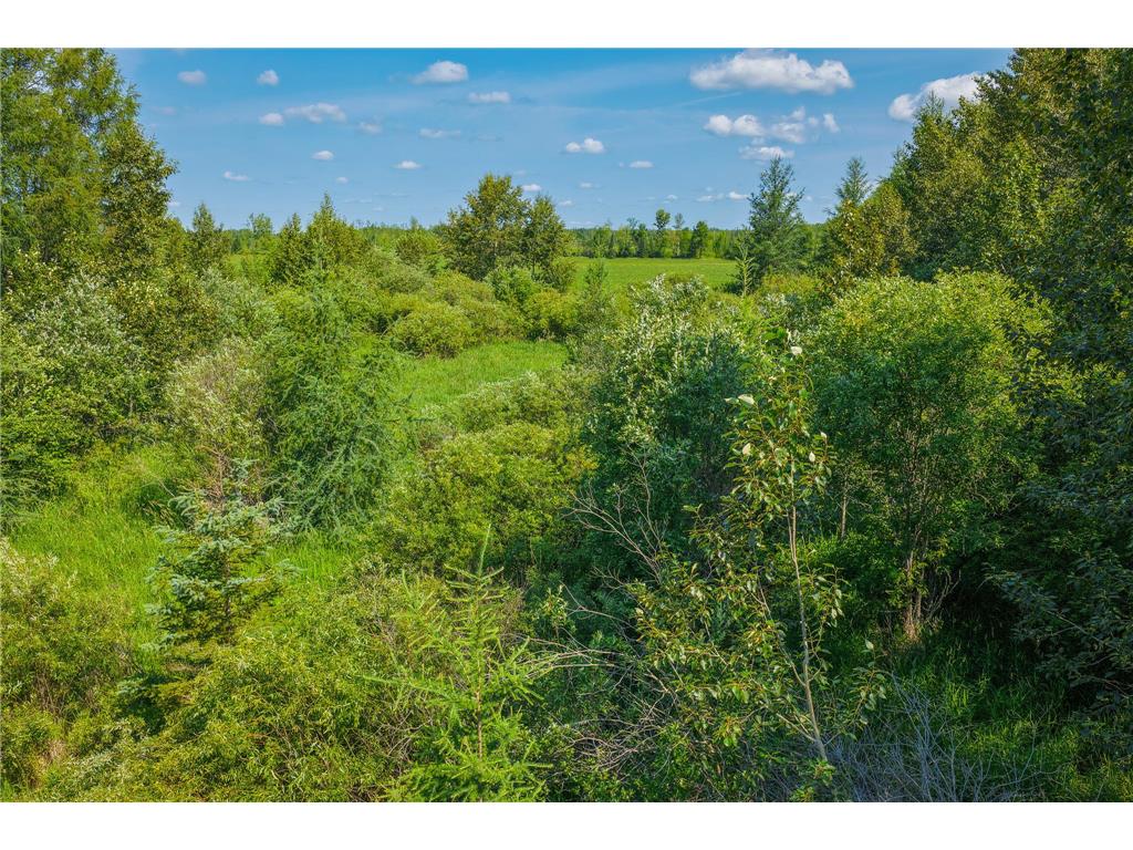 TBD Three Mile Road NE Hornet Twp MN 56630 7038556 image18