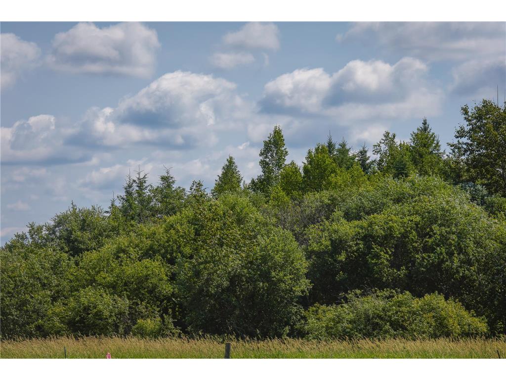 TBD Three Mile Road NE Hornet Twp MN 56630 7038556 image19