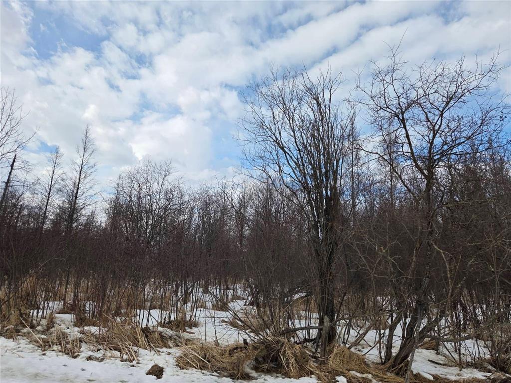 TBD Three Mile Road NE Hornet Twp MN 56630 7038556 image2