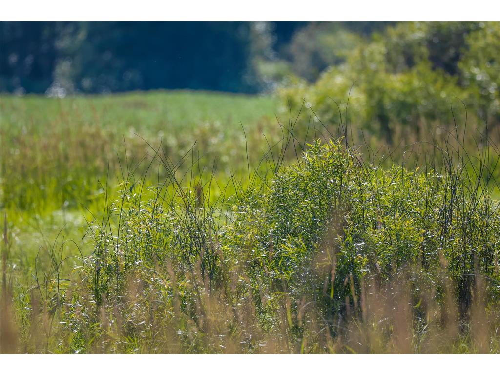 TBD Three Mile Road NE Hornet Twp MN 56630 7038556 image22