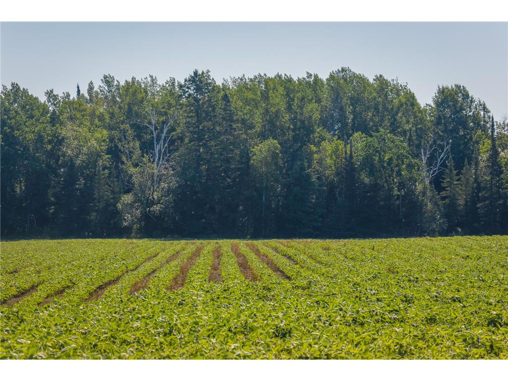 TBD Three Mile Road NE Hornet Twp MN 56630 7038556 image24