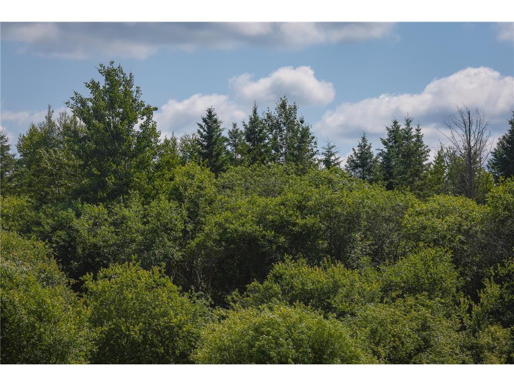 TBD Three Mile Road NE Hornet Twp MN 56630 7038556 image27