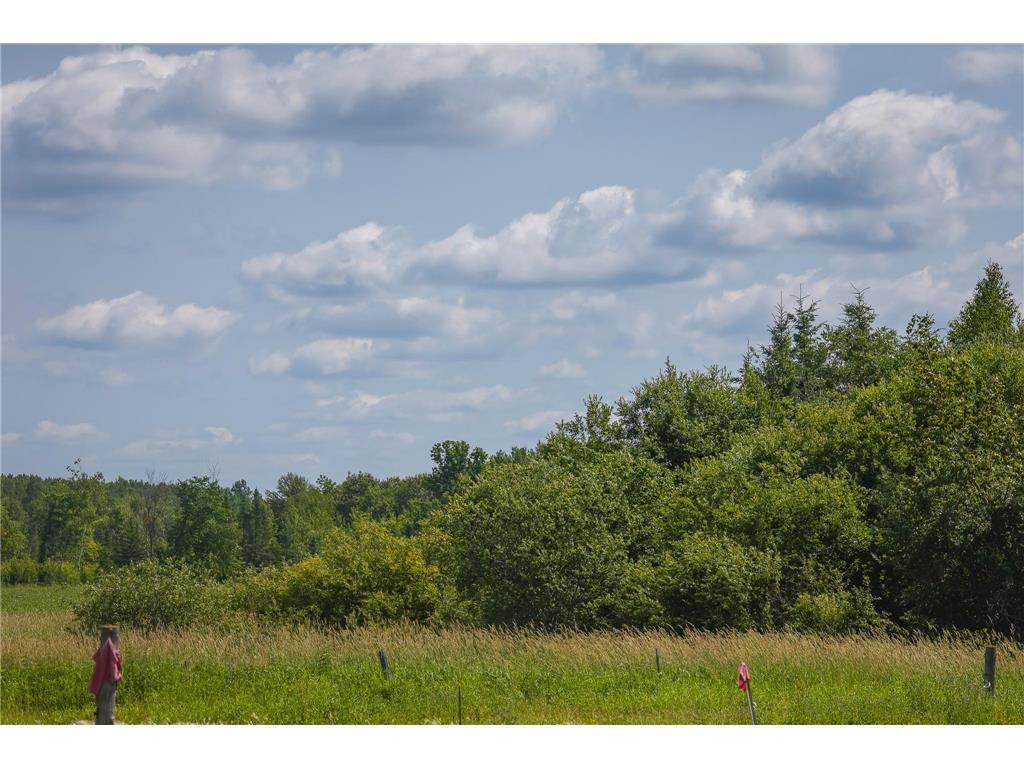 TBD Three Mile Road NE Hornet Twp MN 56630 7038556 image28