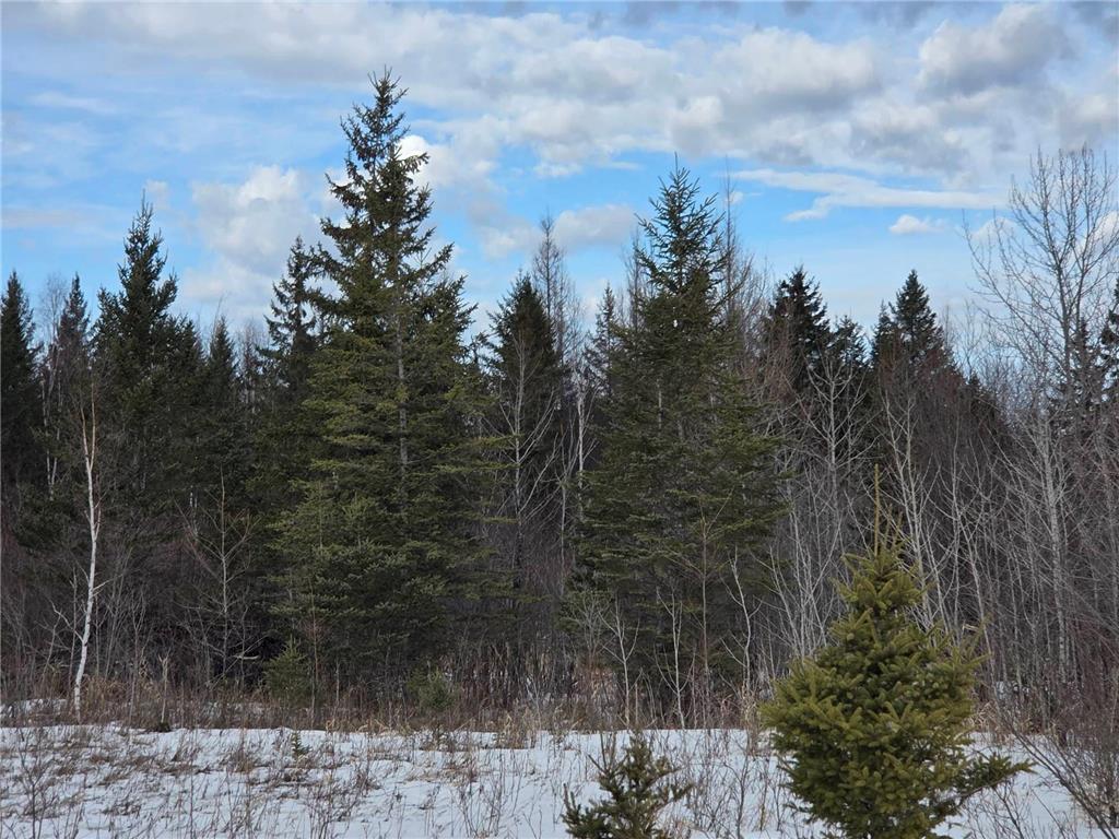 TBD Three Mile Road NE Hornet Twp MN 56630 7038556 image3