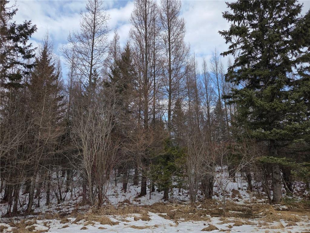 TBD Three Mile Road NE Hornet Twp MN 56630 7038556 image4
