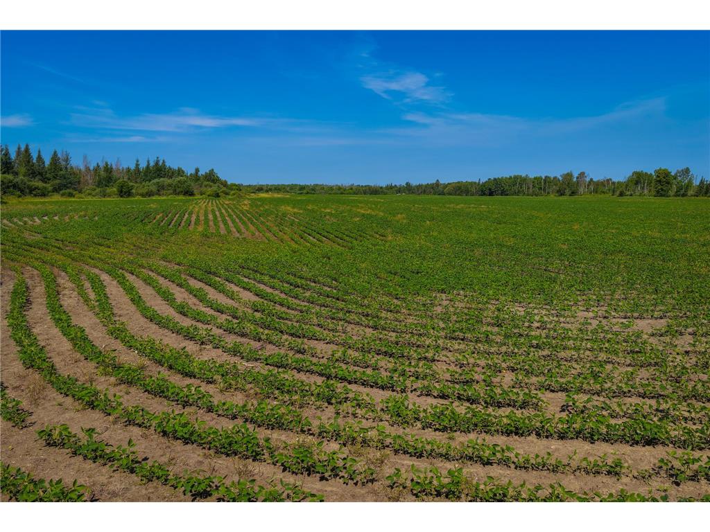 TBD Three Mile Road NE Hornet Twp MN 56630 7038556 image9