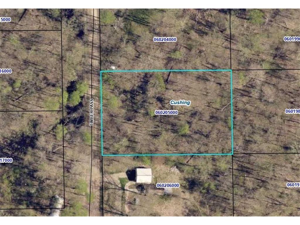 TBD Timber Pass Randall MN 56475 6632569 image1