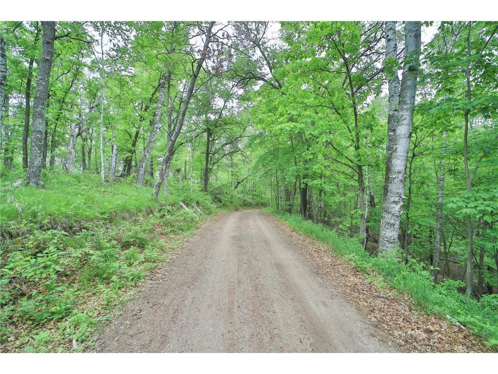 TBD Timber Ridge Drive Baxter MN 56425 - Bass Lake 6685240 image1