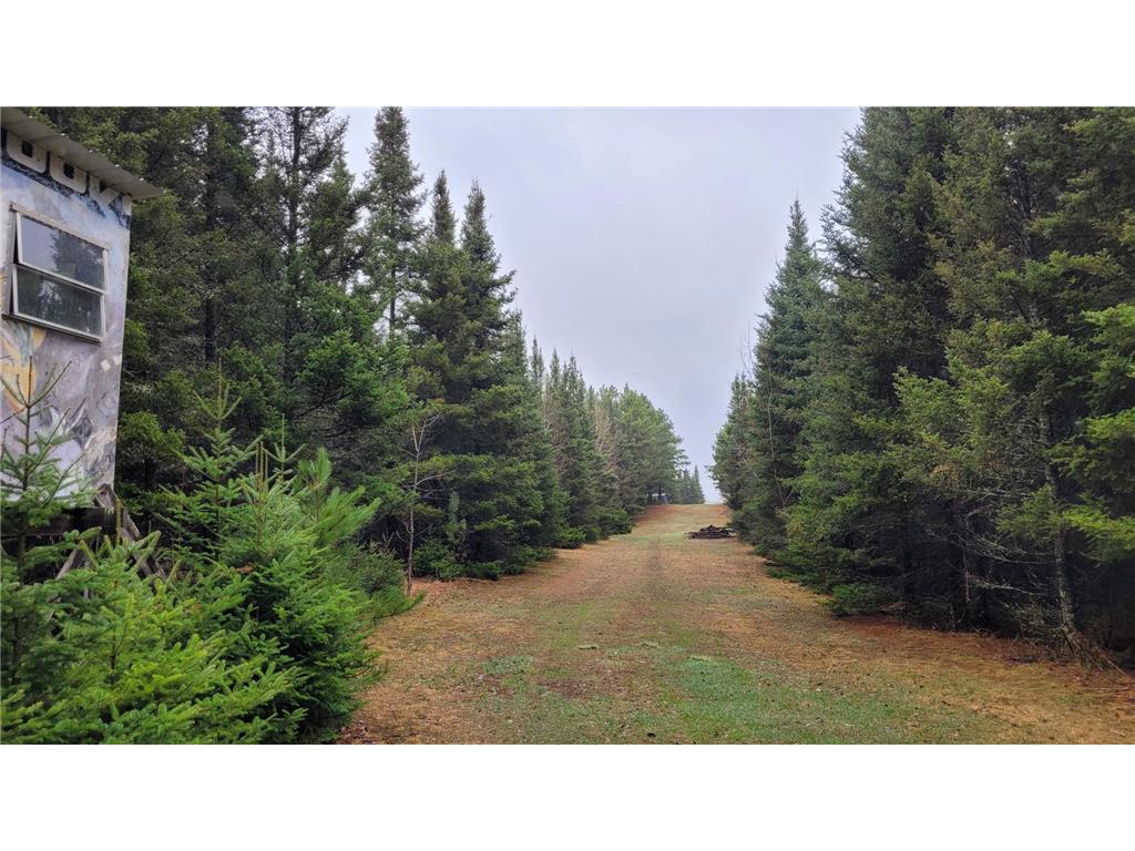 TBD Timber Wolf Trail SW Pine River MN 56435 7061614 image1
