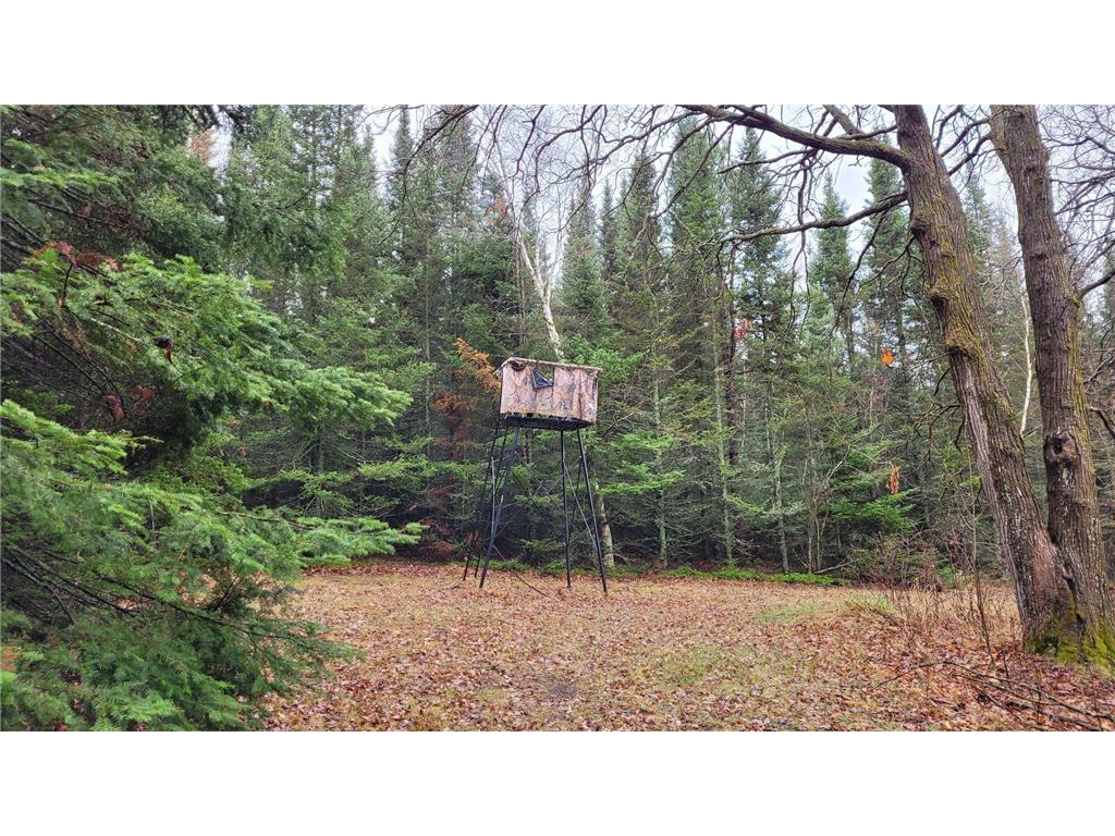 TBD Timber Wolf Trail SW Pine River MN 56435 7061614 image5