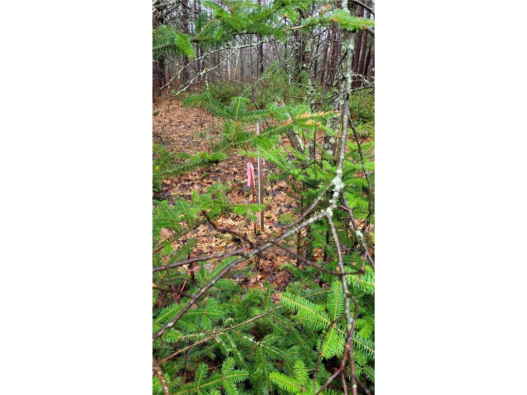 TBD Timber Wolf Trail SW Pine River MN 56435 7061614 image6