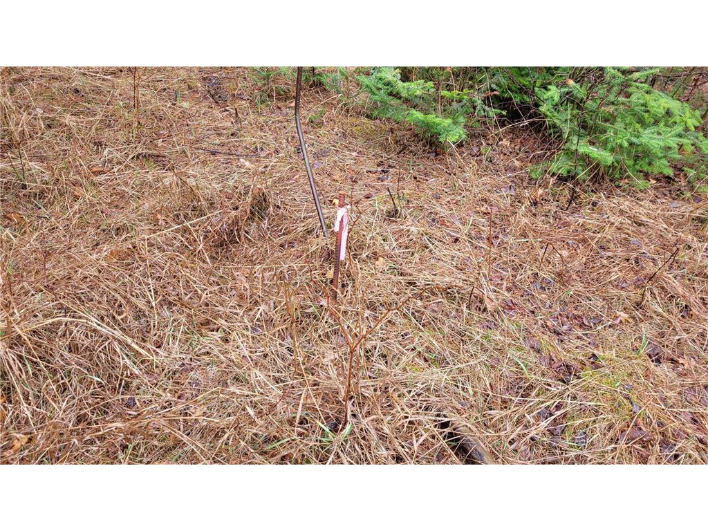 TBD Timber Wolf Trail SW Pine River MN 56435 7061614 image8