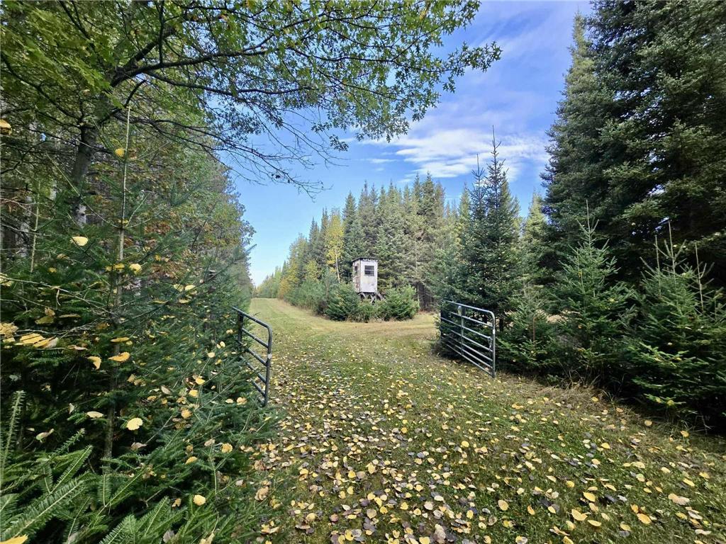 TBD Timber Wolf Trl. SW Barclay Twp MN 56435 6797791 image1