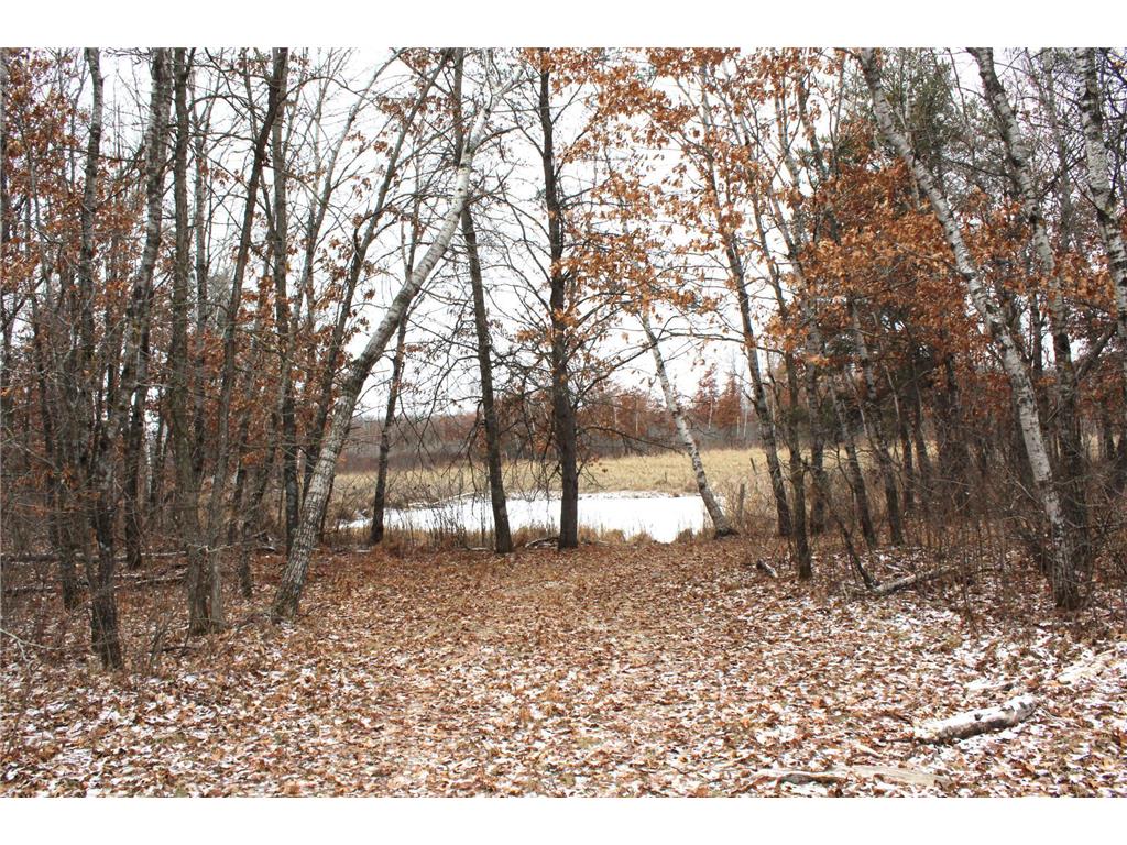 TBD Timberlane Road Staples MN 56479 6473609 image1