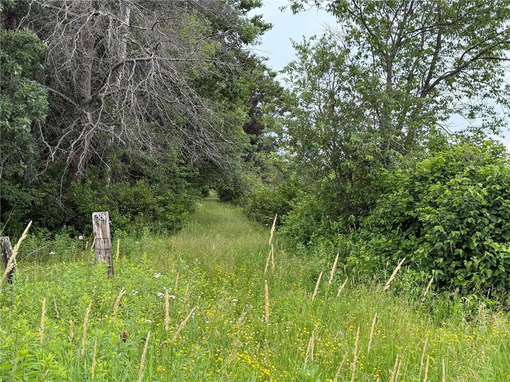 TBD Timberlane Road Staples MN 56479 6751190 image14