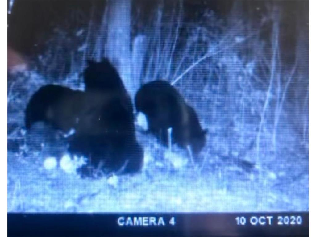 TBD Timberlane Road Staples MN 56479 6751190 image15