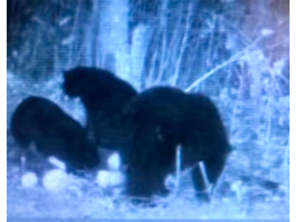 TBD Timberlane Road Staples MN 56479 6751190 image16