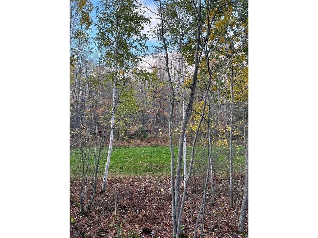 TBD Timberline Dr Grand Rapids MN 55744 7015304 image1