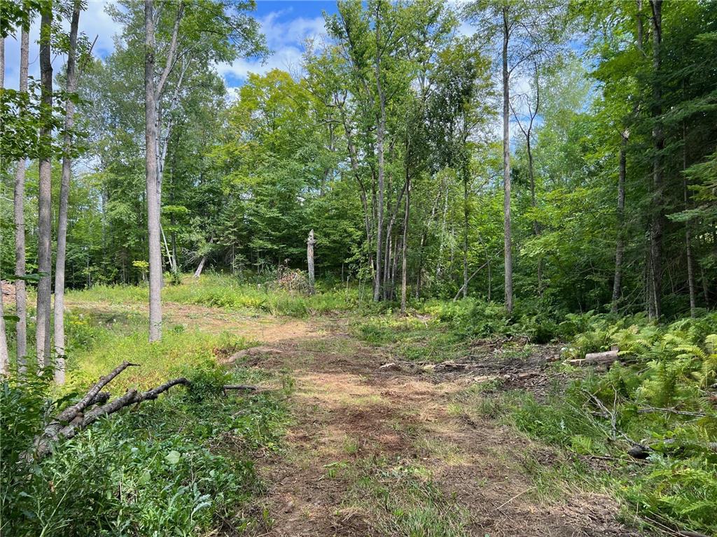 TBD Tioga Hills Rd Cohasset MN 55721 - Little Cavanaugh 6518564 image1