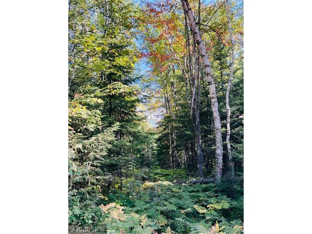 TBD Tobique Road NE Remer MN 56672 6427453 image1
