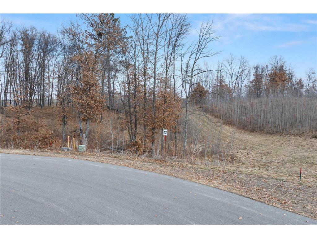 TBD Tom Lehman Drive Brainerd MN 56401 7045907 image6