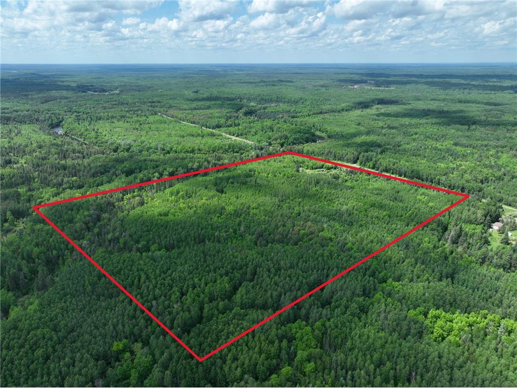 TBD Town 43 Road E Big Falls MN 56653 7114981 image4