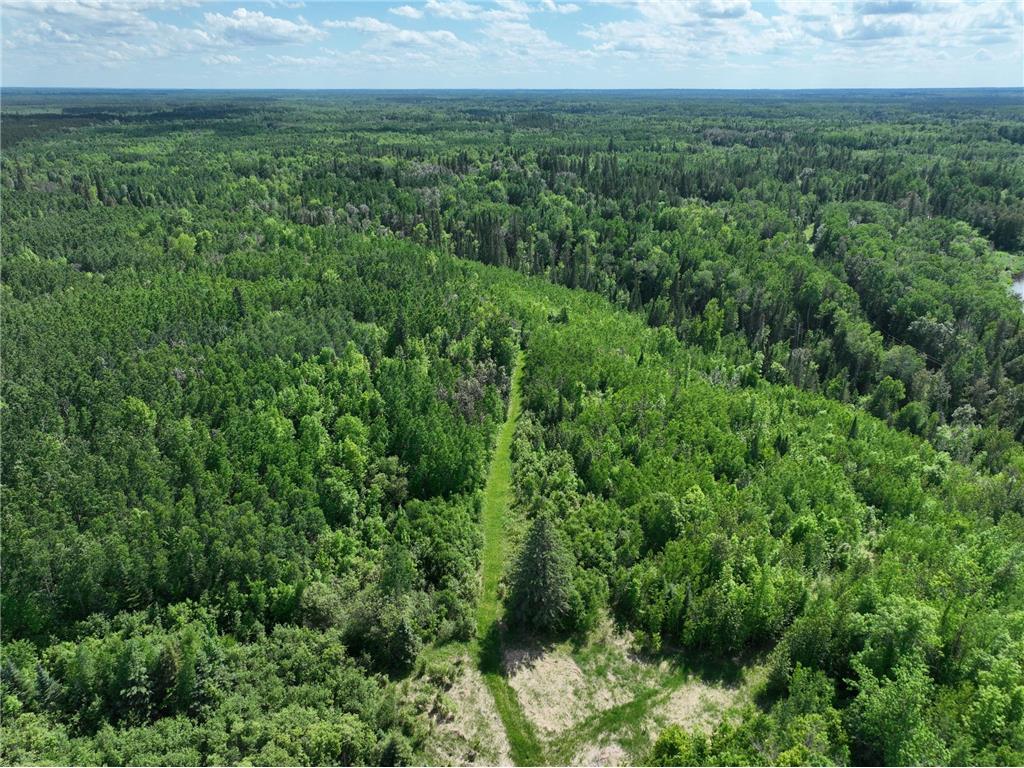 TBD Town 43 Road E Big Falls MN 56653 7114981 image5