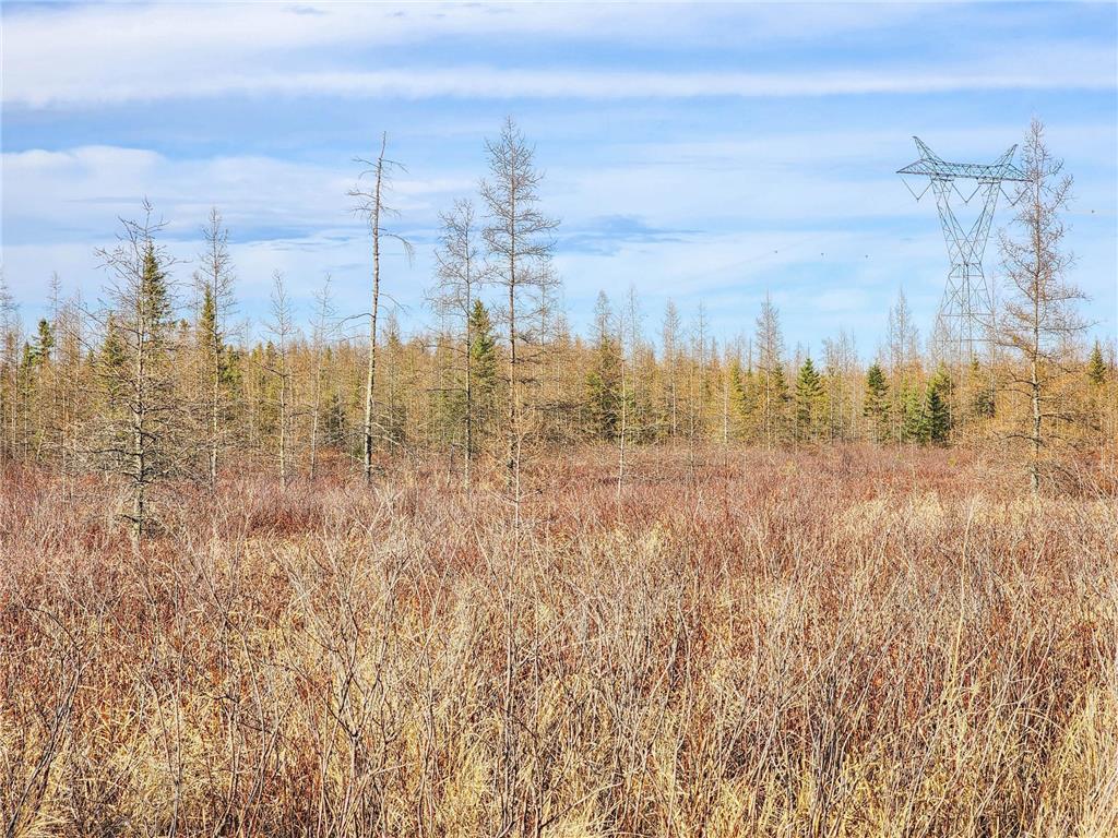 TBD Town Line Road Cherry Twp MN 55751 6520750 image1