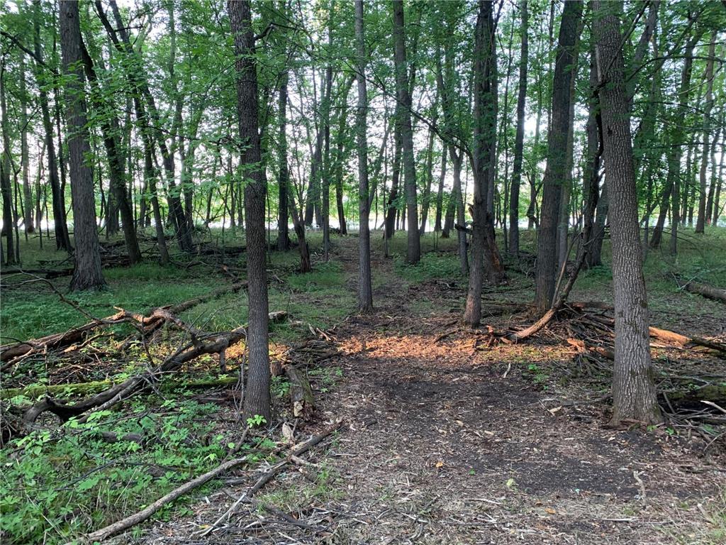 TBD Town Rd 140 Baudette MN 56623 - Rainy River 6390975 image1