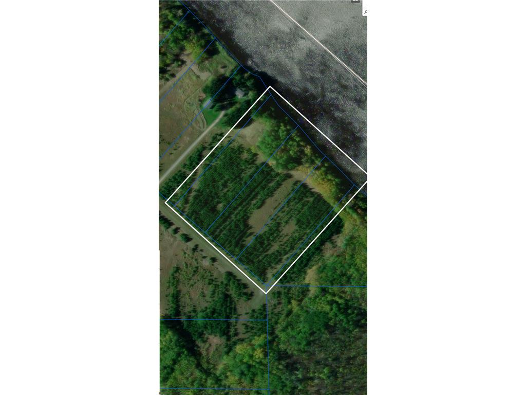 TBD Town Rd. 389 Baudette MN 56623 - Rainy River 6731457 image1