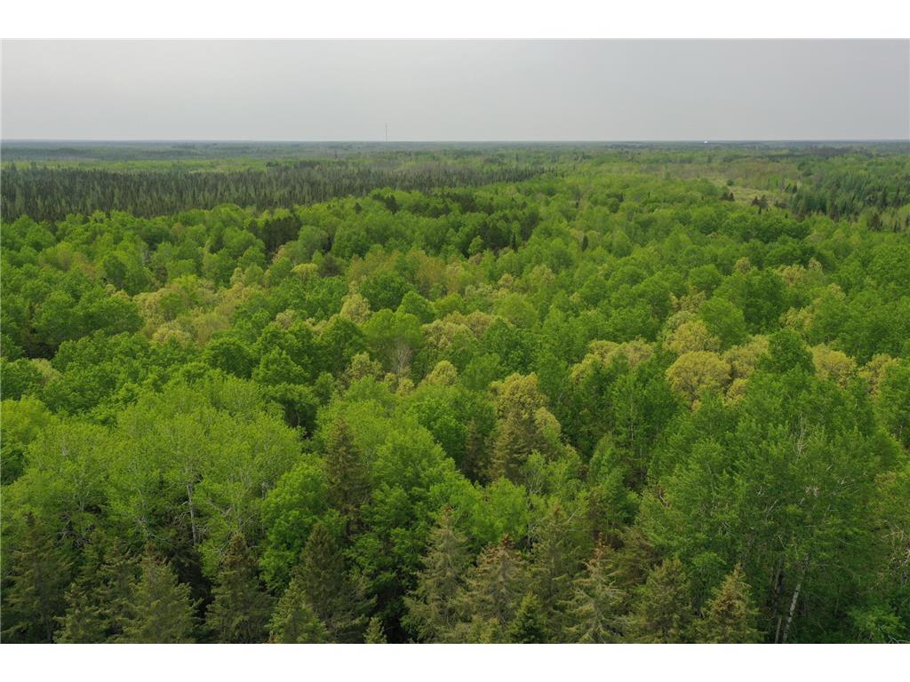 TBD Town Rd. 55 Big Falls MN 56627 6376851 image1