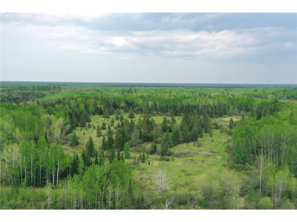 TBD Town Rd. 68 Gheen MN 55771 6377184 image1