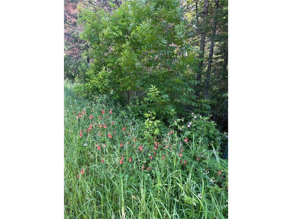 TBD Town Rd 7 Northome MN 56661 6742133 image3