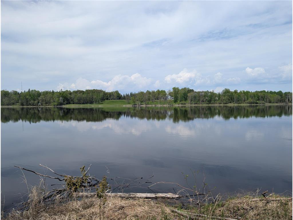 TBD Town Road 117 Birchdale MN 56623 - Rainy River 7084196 image1