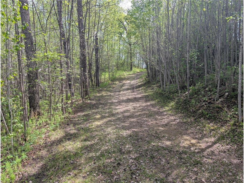 TBD Town Road 117 Birchdale MN 56623 - Rainy River 7084196 image10