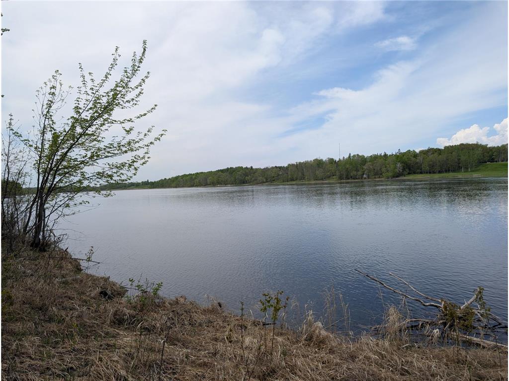 TBD Town Road 117 Birchdale MN 56623 - Rainy River 7084196 image2