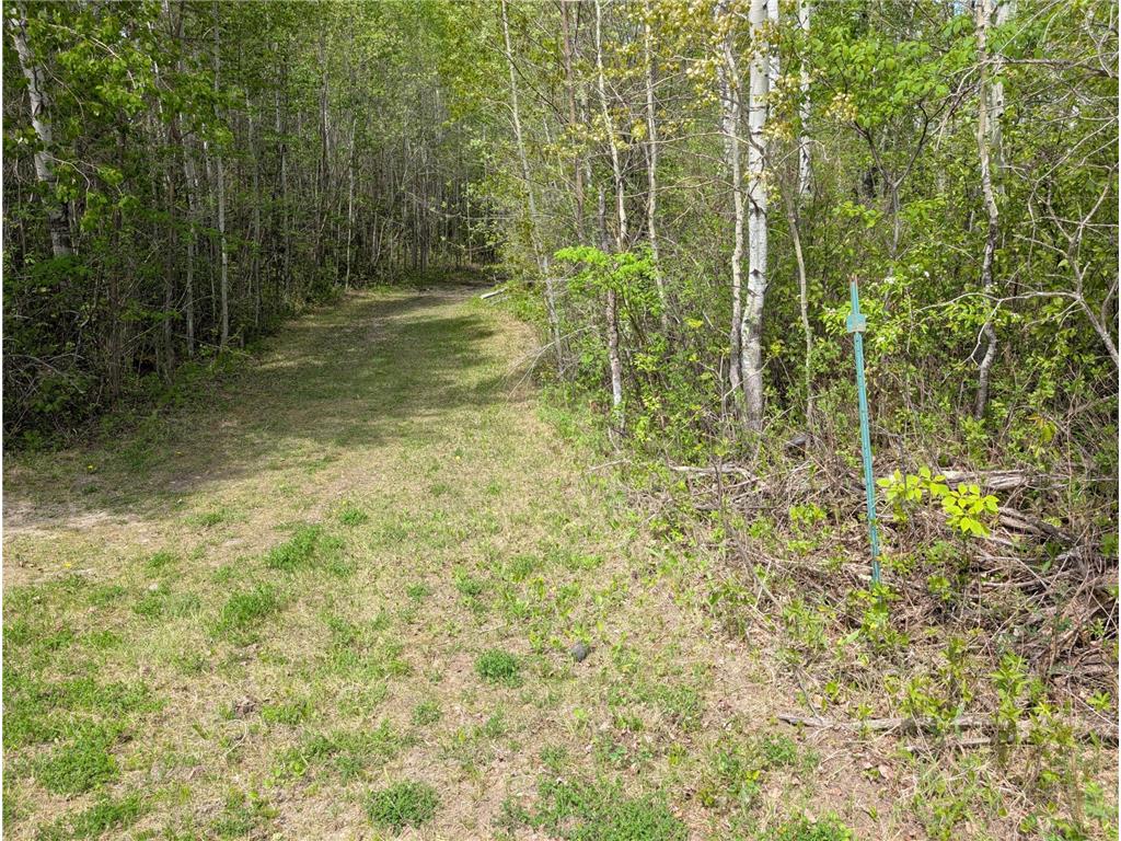 TBD Town Road 117 Birchdale MN 56623 - Rainy River 7084196 image4