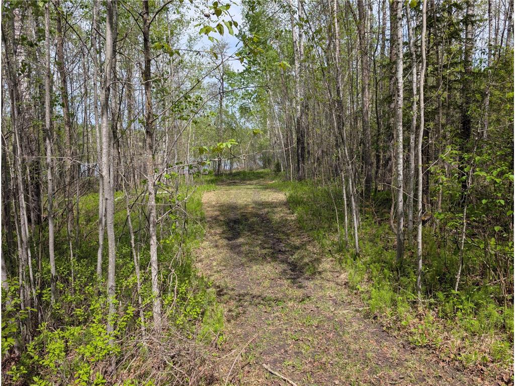 TBD Town Road 117 Birchdale MN 56623 - Rainy River 7084196 image5