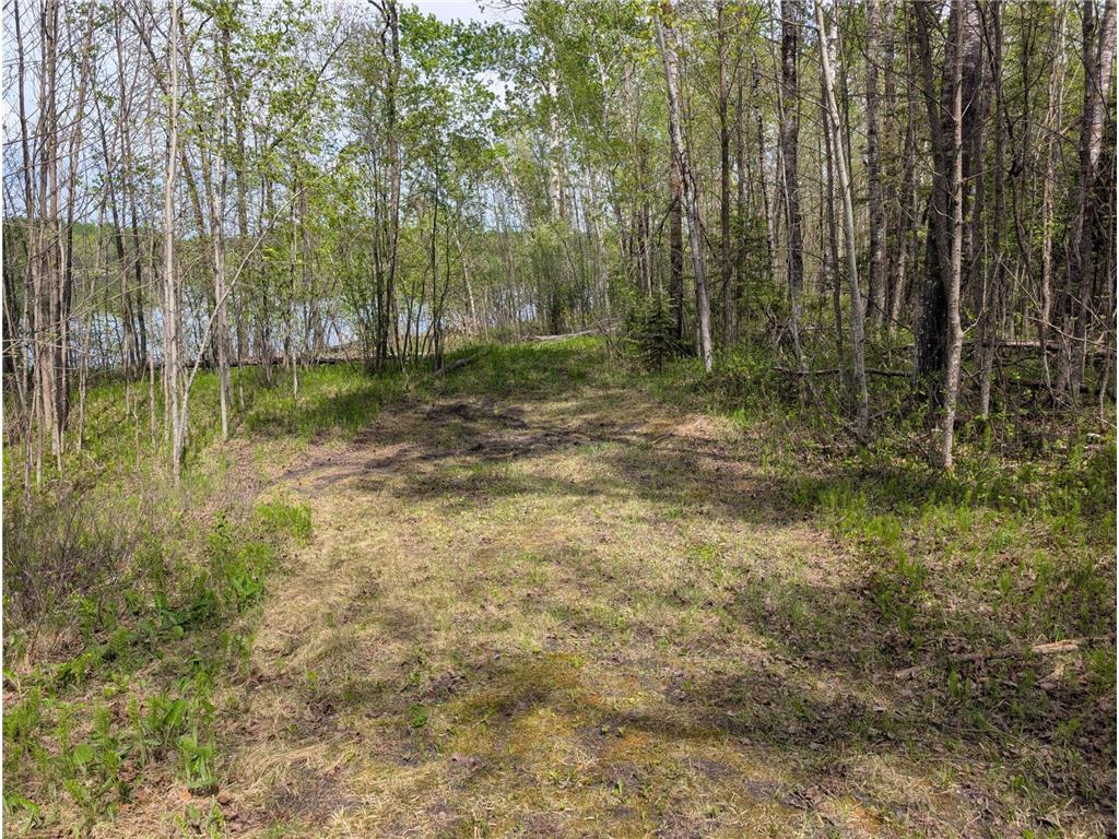 TBD Town Road 117 Birchdale MN 56623 - Rainy River 7084196 image6