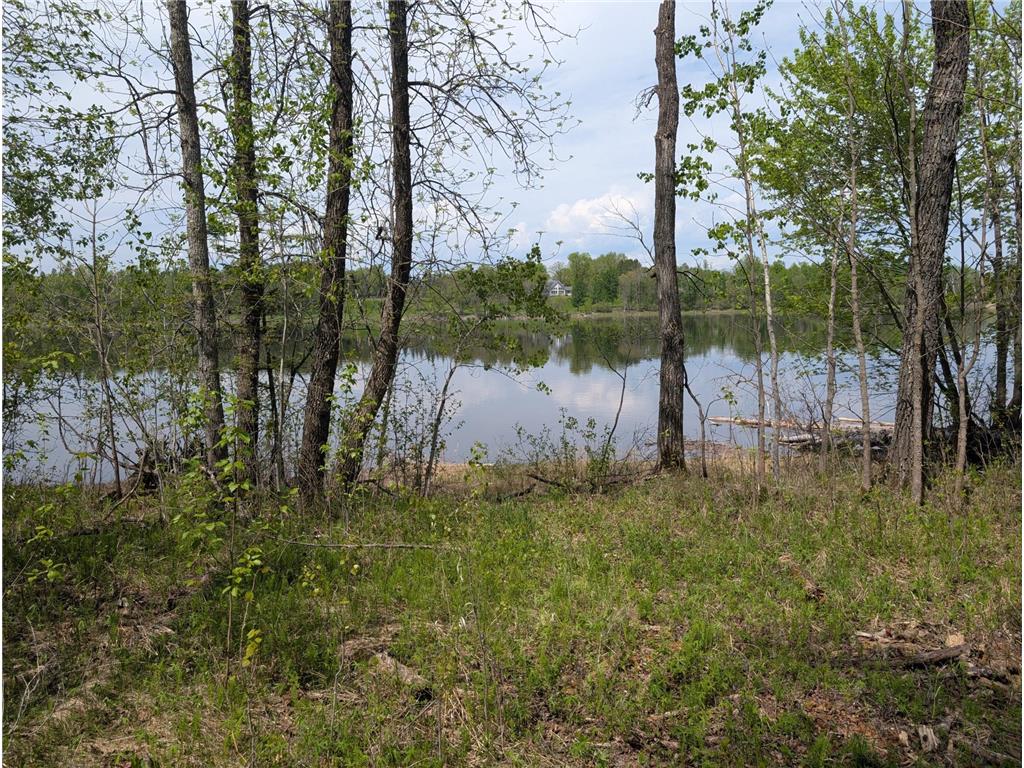 TBD Town Road 117 Birchdale MN 56623 - Rainy River 7084196 image7