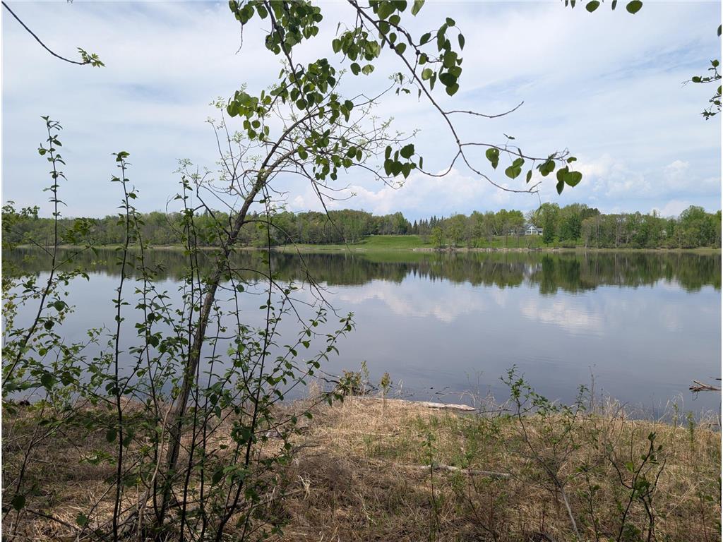 TBD Town Road 117 Birchdale MN 56623 - Rainy River 7084196 image8