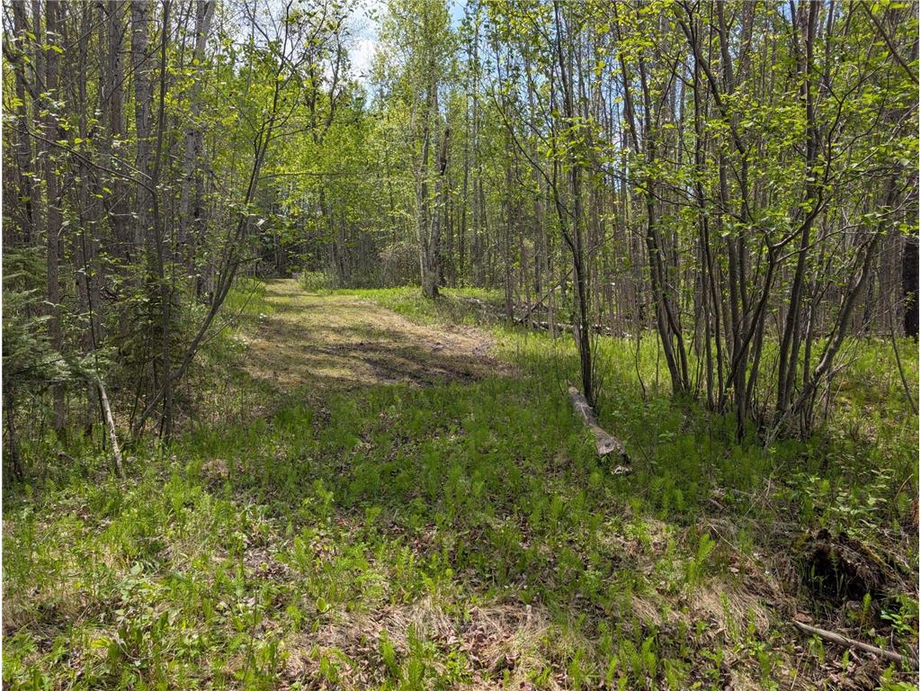 TBD Town Road 117 Birchdale MN 56623 - Rainy River 7084196 image9