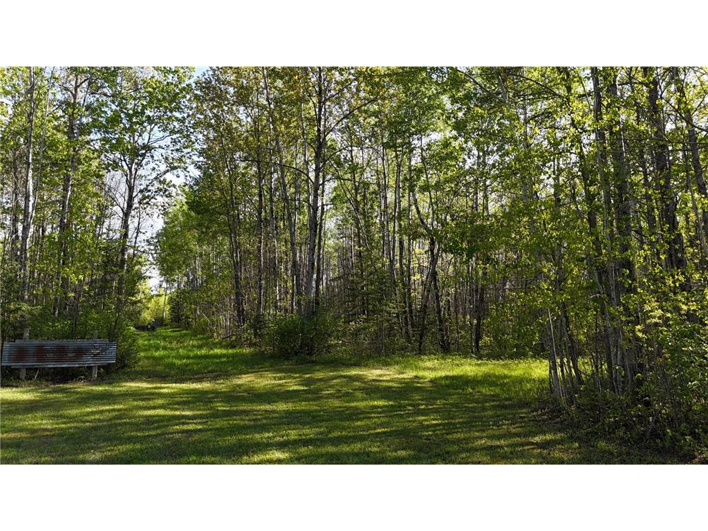 TBD Town Road 118 Birchdale MN 56629 7064357 image2
