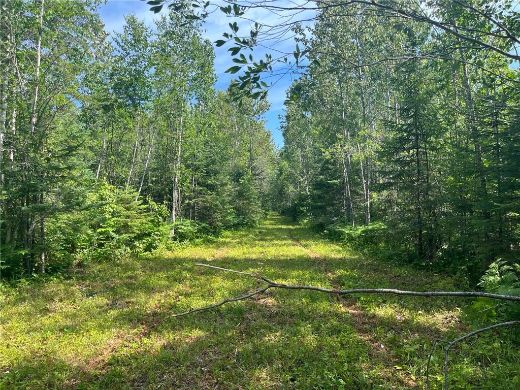 TBD Town Road 118 Birchdale MN 56629 7064357 image3
